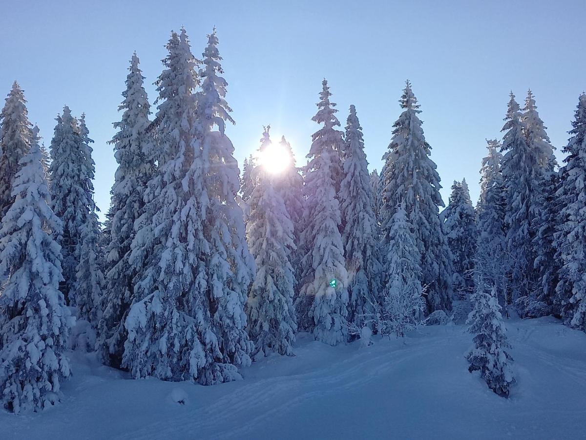 Au Pied Du Pertuiset Daire Drumettaz-Clarafond Dış mekan fotoğraf